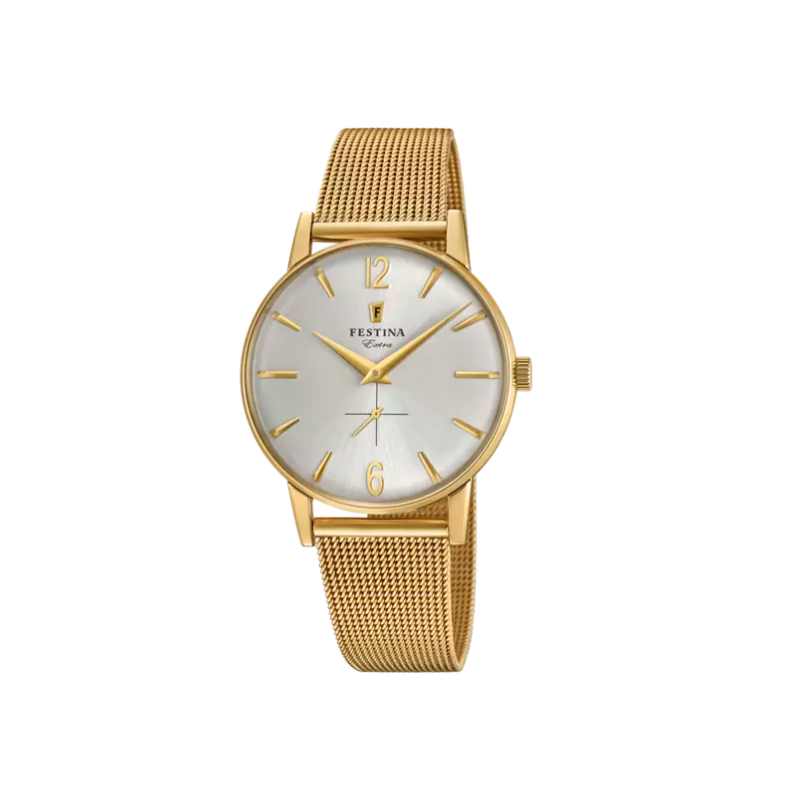 Festina - Orologio Cassa In Acciaio Inossidabile