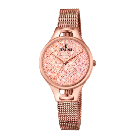 FESTINA -Orologio Cassa In Acciaio Inossidabile