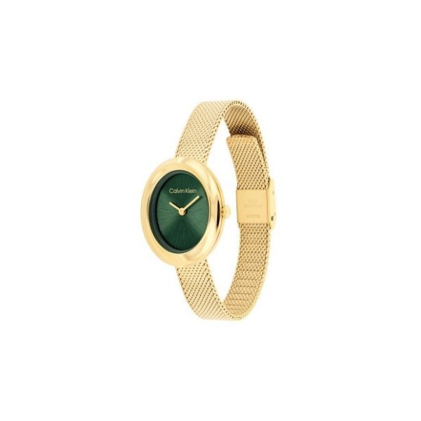 Calvin Klein   Orologio donna  Twisted Bazel