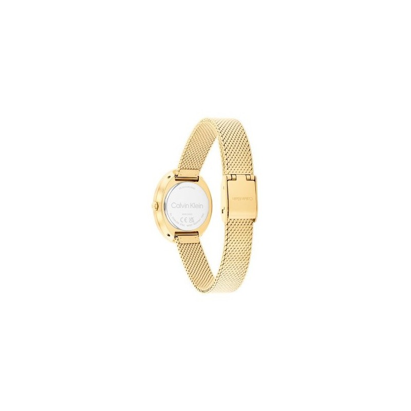 Calvin Klein   Orologio donna  Twisted Bazel