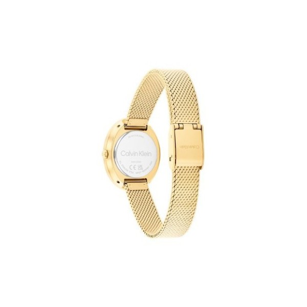 Calvin Klein   Orologio donna  Twisted Bazel